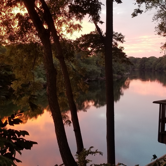 Kelly - Picture 2 of 11